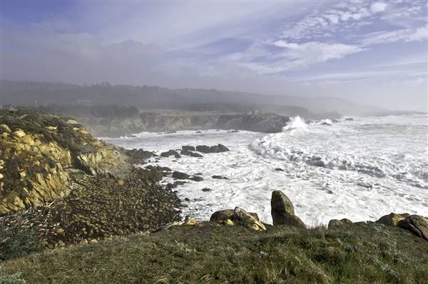 Salt Point State Park (SP) (3/1/2016)