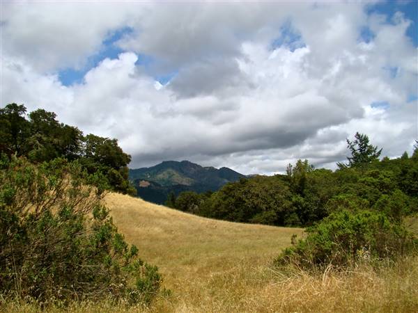 Trione-Annadel State Park (SP) - http://stateparkclosurestrip.blogspot.com/ (3/2/2016 - Credits: Photos courtesy of Lucy D'Mot)