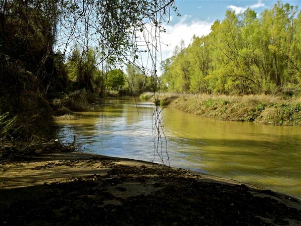 Colusa-Sacramento River State Recreation Area (SRA) - http://stateparkclosurestrip.blogspot.com/ (3/2/2016 - Credits: Photo courtesy of Lucy D'Mot)
