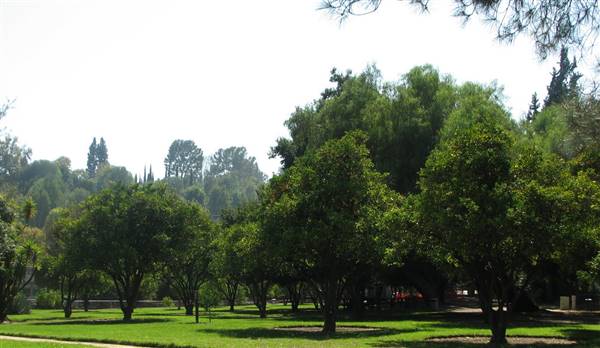 Los Encinos State Historic Park (SHP) adjacent to currently closed Lakeside Restaurant & Lounge - http://stateparkclosurestrip.blogspot.com/ (3/2/2016 - Credits: Photo courtesy of Lucy D'Mot)