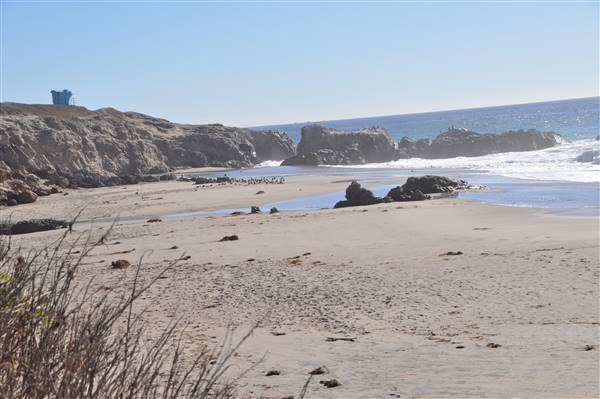Leo Carrillo State Park and Beach (SP) (3/7/2016 - Credits: Photo courtesy of Robin Citrin)