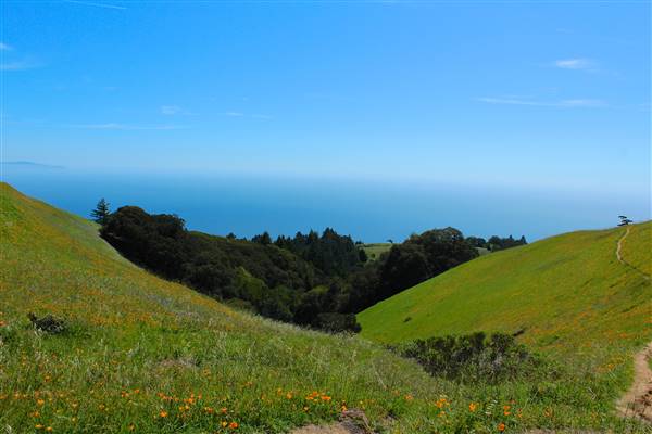 Mount Tamalpais State Park (SP) (3/9/2016 - Credits: Photo courtesy of Marin Convention & Visitors Bureau)