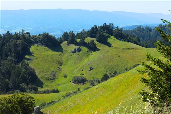 Mount Tamalpais State Park (SP) (3/9/2016 - Credits: Photo courtesy of Marin Convention & Visitors Bureau)