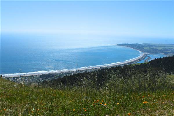 Mount Tamalpais State Park (SP) (3/9/2016 - Credits: Photo courtesy of Marin Convention & Visitors Bureau)