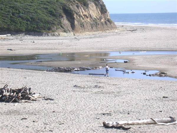 San Gregorio State Beach (SB) (3/10/2016 - Credits: Photo courtesy of SMCCVB)