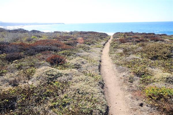 Montana de Oro State Park (SP) - Photo courtesy of Josh McNair, californiathroughmylens.com (3/24/2016 - Credits: Photo courtesy of Josh McNair, californiathroughmylens.com)