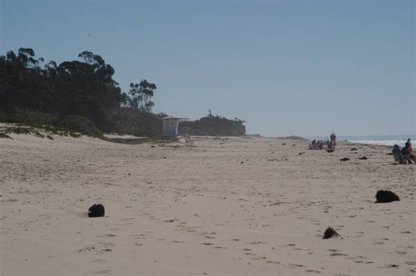 Carpinteria State Beach (SB) (4/5/2016)