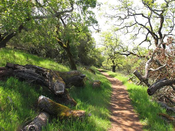 Trione-Annadel State Park (SP) - Photo courtesy of Tim Sartoris (4/7/2016 - Credits: Photo courtesy of Tim Sartoris)