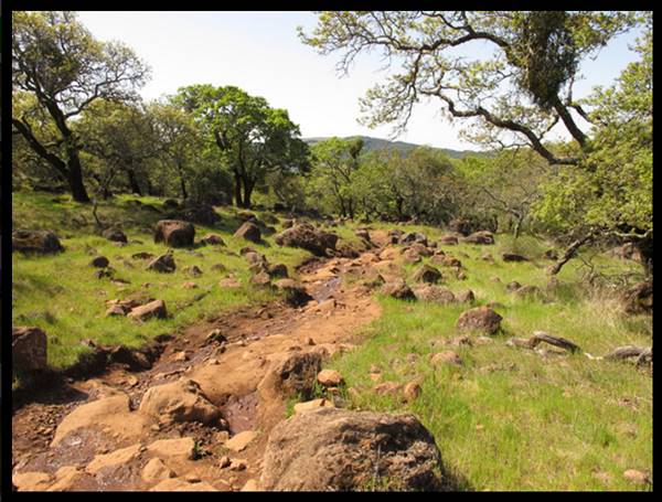 Trione-Annadel State Park (SP) - Photo courtesy of Tim Sartoris (4/7/2016 - Credits: Photo courtesy of Tim Sartoris)