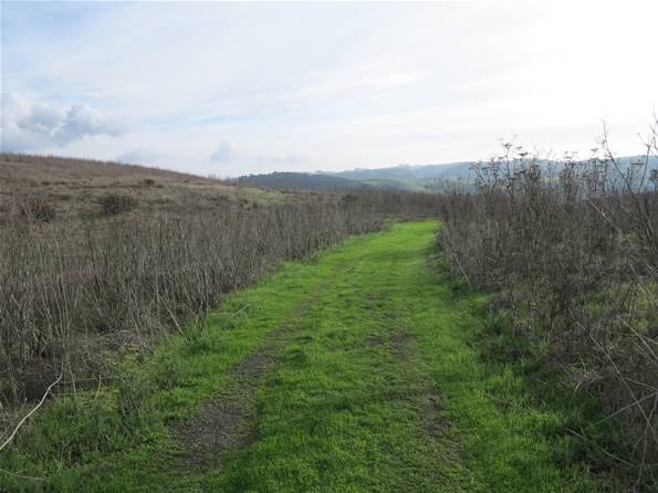Benicia State Recreation Area (SRA) - Photo courtesy of Tim Sartoris (4/7/2016 - Credits: Photo courtesy of Tim Sartoris)