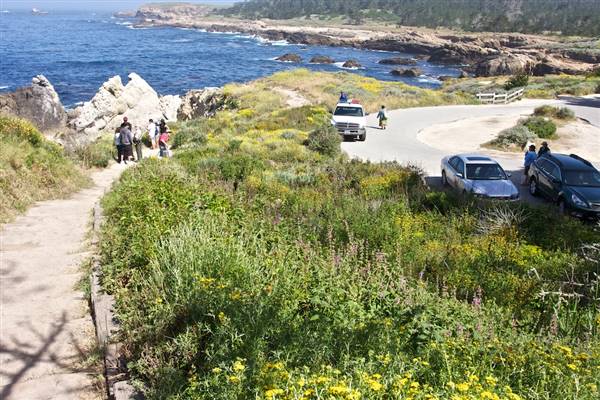 Point Lobos State Natural Reserve (SNR) - Photos by Callie Bowdish - http://www.calliebowdish.com/slideshow/PointLobos/index.html (4/7/2016 - Credits: Photos by Callie Bowdish - http://www.calliebowdish.com/slideshow/PointLobos/index.html)