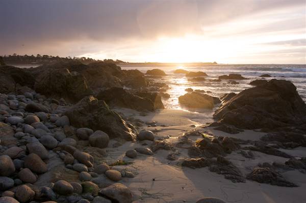Asilomar State Beach and Conference Grounds - Photo by Callie Bowdish (4/7/2016 - Credits: Photo by Callie Bowdish)