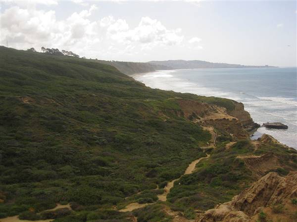 Torrey Pines State Natural Reserve (SNR) (1/1/2011 - Credits: By Jpt004 (I took this photo with my own camera.) [GFDL (http://www.gnu.org/copyleft/fdl.html) or CC BY-SA 3.0 (http://creativecommons.org/licenses/by-sa/3.0)], via Wikimedia Commons)