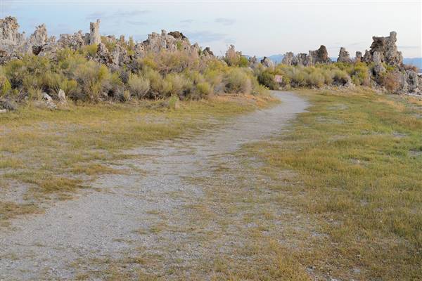 Mono Lake Tufa State Natural Reserve (SNR) / South Tufa Lake - Inyo National Forest (NF) (8/28/2013 - Credits: King of Hearts / Wikimedia Commons / CC-BY-SA-3.0 [GFDL (http://www.gnu.org/copyleft/fdl.html) or CC BY-SA 3.0 (http://creativecommons.org/licenses/by-sa/3.0)], via Wikimedia Commons)