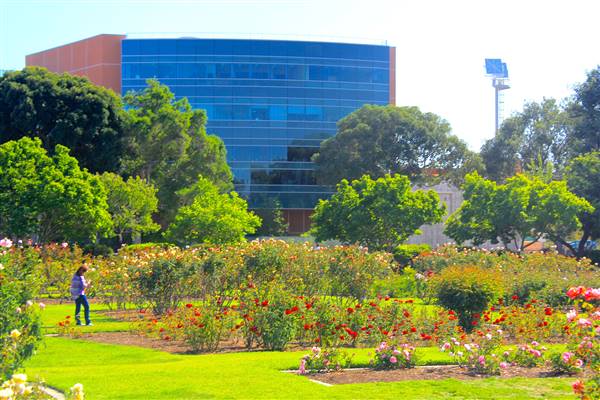 Exposition Park Rose Garden (4/15/2012 - Credits: By MikeJiroch (Own work) [CC BY-SA 3.0 (http://creativecommons.org/licenses/by-sa/3.0)], via Wikimedia Commons)