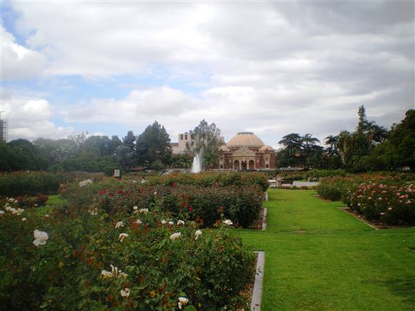 Exposition Park Rose Garden (5/1/2008 - Credits: By Los Angeles (Own work) [CC BY-SA 3.0 (http://creativecommons.org/licenses/by-sa/3.0) or GFDL (http://www.gnu.org/copyleft/fdl.html)], via Wikimedia Commons)
