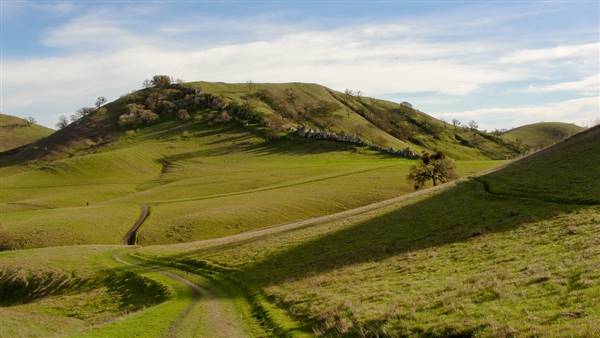 Mount Diablo State Park (SP) (2/5/2011 - Credits: "The Diablo Trail Mount Diablo State Park" by Miguel Vieira (CC BY 2.0) [https://creativecommons.org/licenses/by/2.0/legalcode] https://www.flickr.com/photos/miguelvieira/)