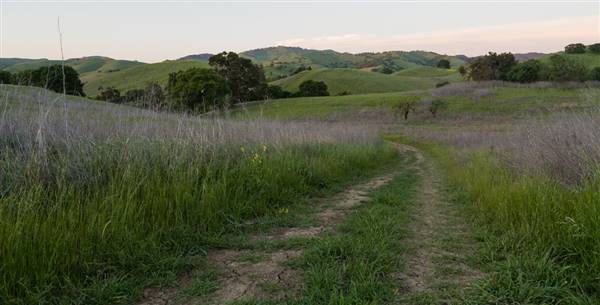 Mount Diablo State Park (SP) - Donner Creek Fire Road (4/22/2012 - Credits: Mt. Diablo State Park" by Flickr User: N8ster (CC BY-NC-ND 2.0) [https://creativecommons.org/licenses/by-nc-nd/2.0/legalcode] https://www.flickr.com/photos/n8/)