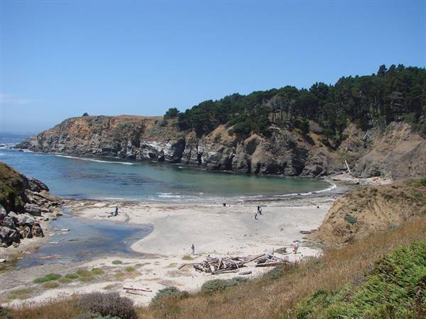 Salt Point State Park (SP) (7/19/2009 - Credits: "Stump Beach at Salt Point State Park"  by Amy Meredith (CC BY-ND 2.0) [https://creativecommons.org/licenses/by-nd/2.0/legalcode] https://www.flickr.com/photos/jjandames/)