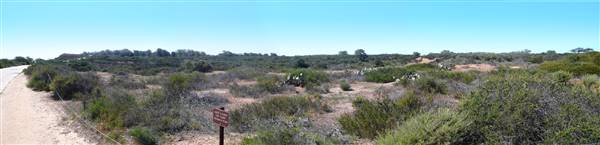 Torrey Pines State Natural Reserve (SNR) (4/5/2009 - Credits: Torrey Pines State Reserve-Service Road' by Chris Lee (CC BY-ND 2.0) [https://creativecommons.org/licenses/by-nd/2.0/legalcode] https://www.flickr.com/photos/chrislee-cm/)