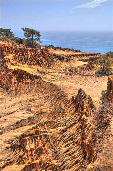 Torrey Pines State Natural Reserve (SNR) (8/16/2010 - Credits: Broken Hills' by Dave Reichert (CC BY-NC 2.0)[https://creativecommons.org/licenses/by-nc/2.0/legalcode]https://www.flickr.com/photos/dreichert/)