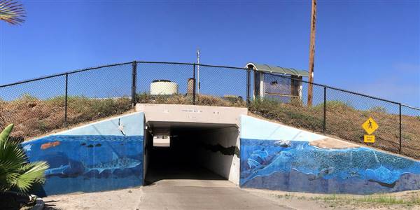 Silver Strand State Beach (SB) (6/23/2015 - Credits: "23 Jun 2015: Silver Strand SB underpass mural" by Margaret Ill (CC BY-ND 2.0)[https://creativecommons.org/licenses/by-nd/2.0/legalcode] https://www.flickr.com/photos/macdevotee/)