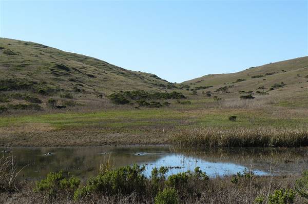 Harmony Headlands State Park (SP) (1/26/2011 - Credits: "Harmony Headlands State Park (2)" By Joyce Cory (CC BY 2.0)[https://creativecommons.org/licenses/by/2.0/legalcode]https://www.flickr.com/photos/docentjoyce/)