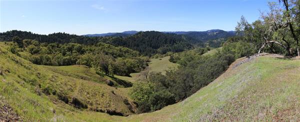 Armstrong Redwoods State Natural Reserve (SNR) (10/18/2014 - Credits: "Armstroong Redwoods State Natural Reserve Panorama" By Harminder Dhesi (CC BY-NC-ND 2.0)[https://creativecommons.org/licenses/by-nc-nd/2.0/legalcode] https://www.flickr.com/photos/harmyd/)