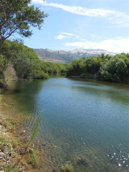 Andrew Molera State Park (SP) (8/10/2014 - Credits: "Andrew Molera State Park" by Flickr User: Vallie (CC BY-NC-ND 2.0)[https://creativecommons.org/licenses/by-nc-nd/2.0/legalcode]https://www.flickr.com/photos/sashimineko/)