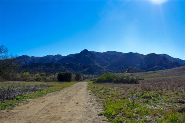 Malibu Creek State Park (SP) (2/27/2011 - Credits: "Malibu Creek State Park" by Alexandra Stewart (CC BY-NC-ND 2.0)[https://creativecommons.org/licenses/by-nc-nd/2.0/legalcode]https://www.flickr.com/photos/msalexphoto/)