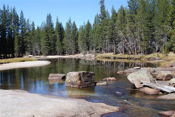 Yosemite National Park (10/7/2008 - Credits: "Yosemite National Park - Lyell Fork" by Kurt Repanshek (CC BY-NC-ND 2.0)[https://creativecommons.org/licenses/by-nc-nd/2.0/legalcode]https://www.flickr.com/photos/21241366@N05/)