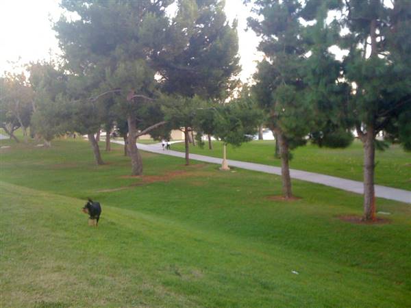 Alondra Community Regional Park (10/13/2010 - Credits: "Alondra Park" by Flickr User: Urban Outbacker (CC BY 2.0)[https://creativecommons.org/licenses/by/2.0/legalcode]https://www.flickr.com/photos/urbanoutbacker/)