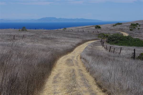 Channel Islands National Park - Santa Cruz Island (8/22/2013 - Credits: "IMGP8481" by Flickr User: Cheryl (CC BY-NC-ND 2.0)[https://creativecommons.org/licenses/by-nc-nd/2.0/legalcode]https://www.flickr.com/photos/starglows/)