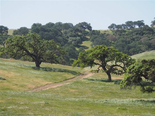 Pacheco State Park (SP) and Windmill Farm / Wind Energy (4/4/2015 - Credits: "Pacheco State park" by James Maughn (CC BY-NC-ND 2.0)[https://creativecommons.org/licenses/by-nc-nd/2.0/legalcode]https://www.flickr.com/photos/125605310@N07/)