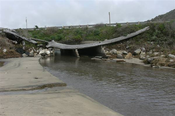 Pomponio State Beach (SB) (3/24/2010 - Credits: "Pomponio Beach" by John Vonderlin (CC BY-NC 2.0)[https://creativecommons.org/licenses/by-nc/2.0/legalcode]https://www.flickr.com/photos/johnvonderlin/)