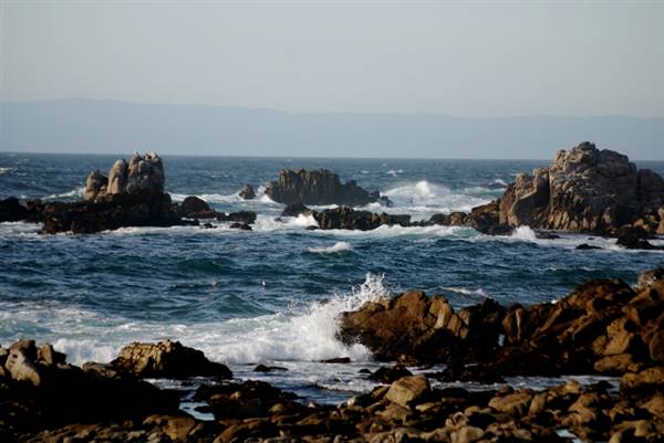Asilomar State Beach and Conference Grounds (2/24/2008 - Credits: Photo Courtesy of California Travel and Tourism Commissioin / Blaise)