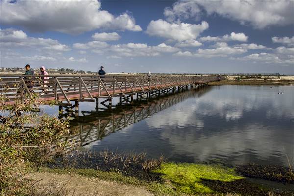 Bolsa Chica Ecological Reserve - California Department of Fish & Wildlife (CDFW) (1/24/2016 - Credits: "Bolsa Chica Ecological Reserve" by Pam Lane (CC BY-NC-ND 2.0)[https://creativecommons.org/licenses/by-nc-nd/2.0/legalcode]https://www.flickr.com/photos/pamlane/)