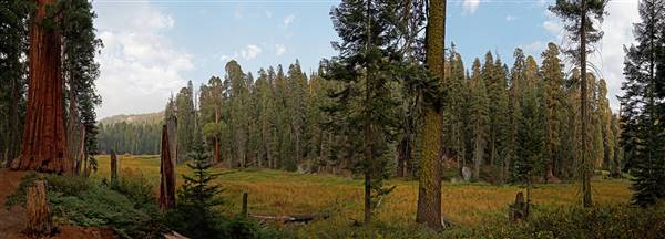 Sequoia and Kings Canyon National Parks & Crystal Cave (9/12/2015 - Credits: "Log Meadow in Giant Forest, Sequoia National Park" by (CC BY 2.0)[https://creativecommons.org/licenses/by/2.0/legalcode]https://www.flickr.com/photos/usdagov/)