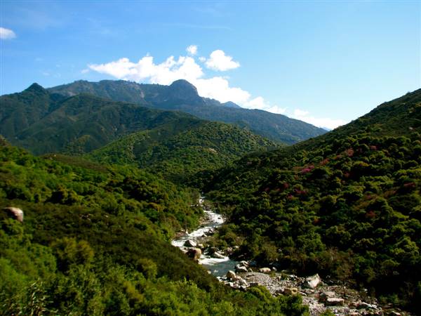 Sequoia and Kings Canyon National Parks & Crystal Cave (4/22/2011 - Credits: "Sequoia & Kings Canyon" by Jeff Gunn (CC BY 2.0)[https://creativecommons.org/licenses/by/2.0/legalcode]https://www.flickr.com/photos/jeffgunn/)