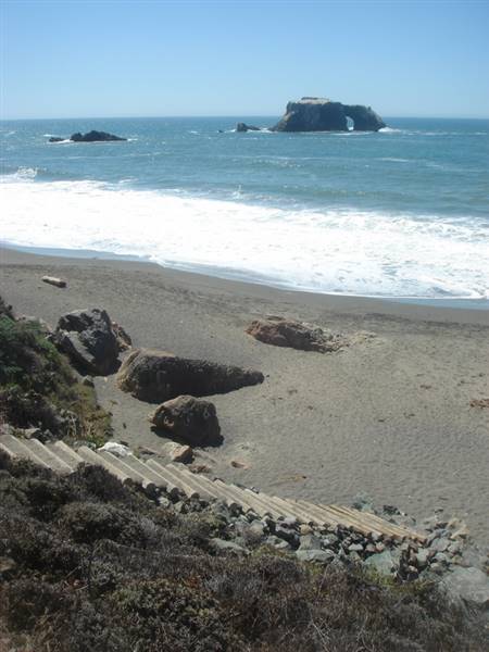 Sonoma Coast State Park (SP) (9/1/2008 - Credits: "Blind Beach- Bodega Bay" by Matthew Hickey (CC BY 2.0)[https://creativecommons.org/licenses/by/2.0/legalcode]https://www.flickr.com/photos/36244797@N00/)
