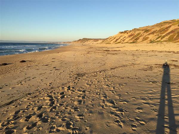 Fort Ord Dunes State Park (SP) (11/6/2015 - Credits: "Low Sun" by Justin Dolske (CC BY-SA 2.0)[https://creativecommons.org/licenses/by-sa/2.0/legalcode]https://www.flickr.com/photos/dolske/)