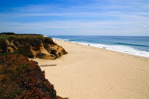 Half Moon Bay State Beach (SB) (6/15/2009 - Credits: "Half Moon Bay 116" by Ming-yen Hsu (CC BY-ND 2.0)[https://creativecommons.org/licenses/by-nd/2.0/legalcode]https://www.flickr.com/photos/myhsu/)