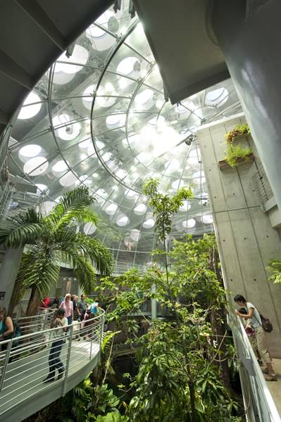 California Academy of Sciences (6/28/2014 - Credits: Photograph Courtesy of Visit California)