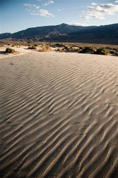 Olancha Sand Dunes - Bureau of Land Management - California Desert District - Ridgecrest Field Office - BLM - Off Highway Vehicle Area - OHV (5/27/2012 - Credits: "Olancha Dunes" by Patrick Maloney (CC BY-NC 2.0)[https://creativecommons.org/licenses/by-nc/2.0/legalcode]https://www.flickr.com/photos/patrickm/)