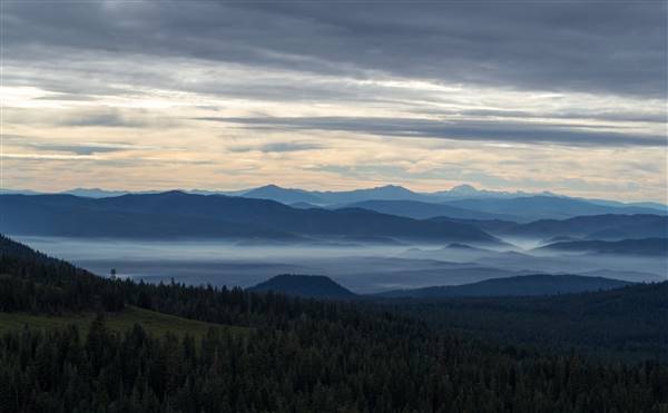 Everitt Memorial Highway (10/29/2014 - Credits: "Mt Shasta Everitt Memorial Highway (1068)" by Don Barrett (CC BY-NC-ND 2.0)[https://creativecommons.org/licenses/by-nc-nd/2.0/legalcode]https://www.flickr.com/photos/donbrr/)