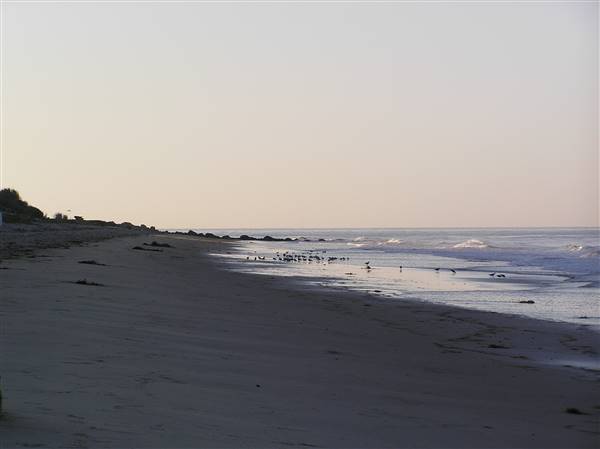 El Capitan State Beach (SB) (7/13/2009 - Credits: "P7120471.JPG" by Jason Holmberg (CC BY-NC 2.0)[https://creativecommons.org/licenses/by-nc/2.0/legalcode] https://www.flickr.com/photos/jasonholmberg/)