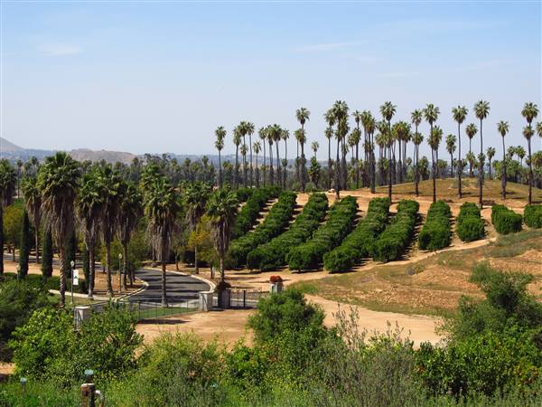 California Citrus State Historic Park (SHP) (3/24/2013 - Credits: "California Citrus State Historic Park" by Flickr User: Jasperdo (CC BY-NC-ND 2.0)[https://creativecommons.org/licenses/by-nc-nd/2.0/legalcode]https://www.flickr.com/photos/mytravelphotos/)