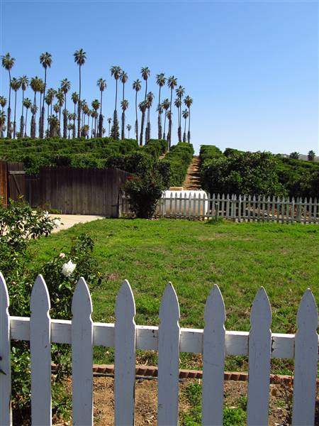 California Citrus State Historic Park (SHP) (3/24/2013 - Credits: "California Citrus State Historic Park" by Flickr User: Jasperdo (CC BY-NC-ND 2.0)[https://creativecommons.org/licenses/by-nc-nd/2.0/legalcode]https://www.flickr.com/photos/mytravelphotos/)