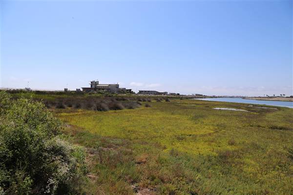 Bolsa Chica Ecological Reserve - California Department of Fish & Wildlife (CDFW) (10/18/2016 - Credits: Photo courtesy of Kris Bunting)