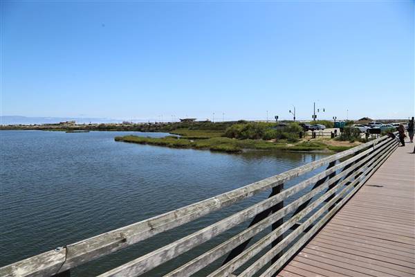 Bolsa Chica Ecological Reserve - California Department of Fish & Wildlife (CDFW) (10/18/2016 - Credits: Photo courtesy of Kris Bunting)